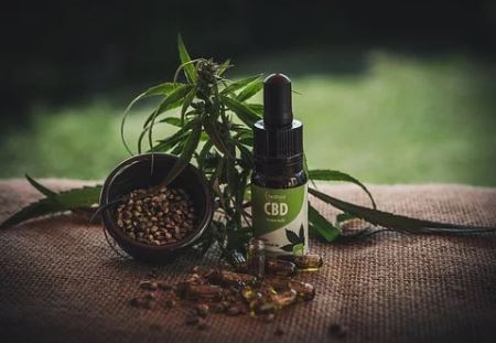 cbd oil