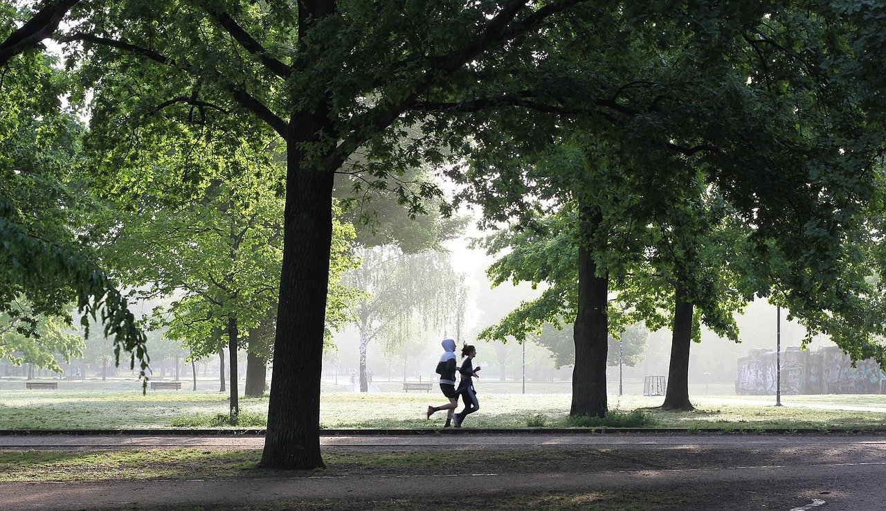 fit run park